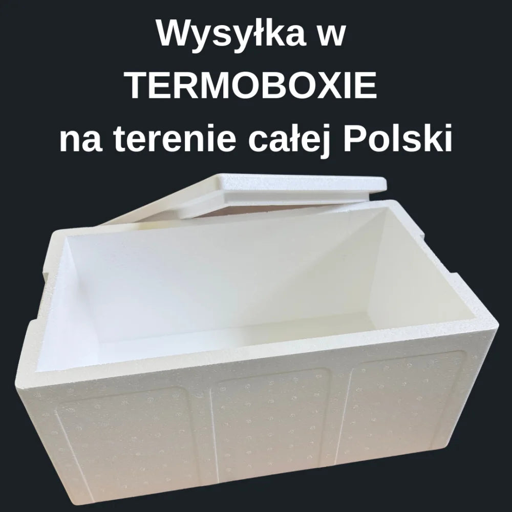 Gotowane Krewetki 90-120, 5 kg – Darmowa dostawa + Termobox gratis Drugie zdjęcie produktu