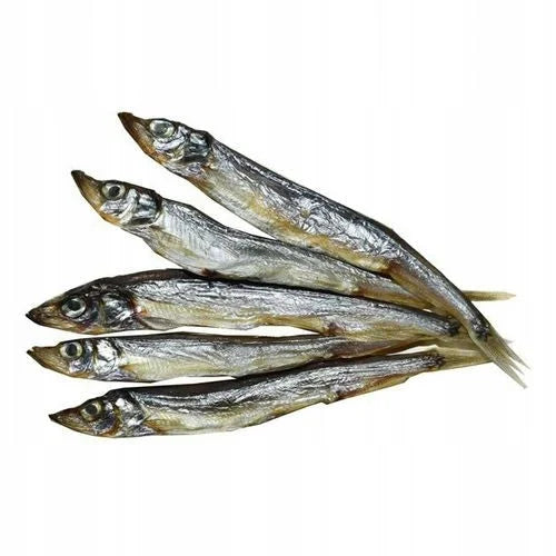 a9af2e9a6ffdddebf7a2e922a3b86540 Główne zdjęcie produktu