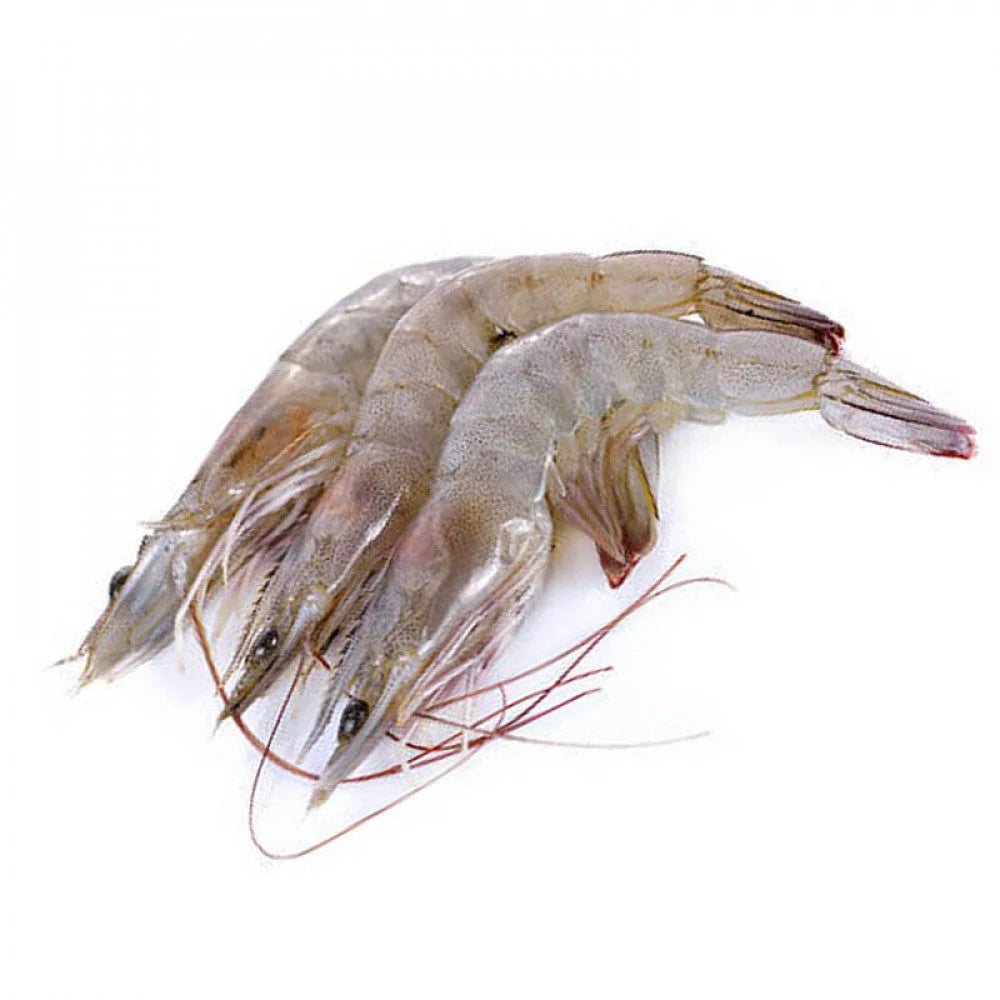 e75c6d9e9ff5e85e43179ad9f88a7d37 Główne zdjęcie produktu