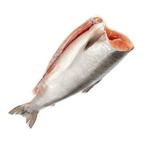 ae0788f0a80734bc8df01ea730b705df Główne zdjęcie produktu