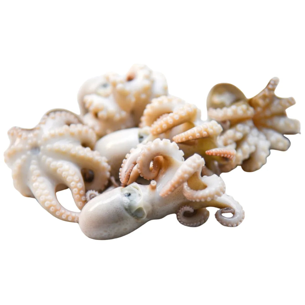 4e38b119a7b214e6b0d0fac904afccfa Główne zdjęcie produktu