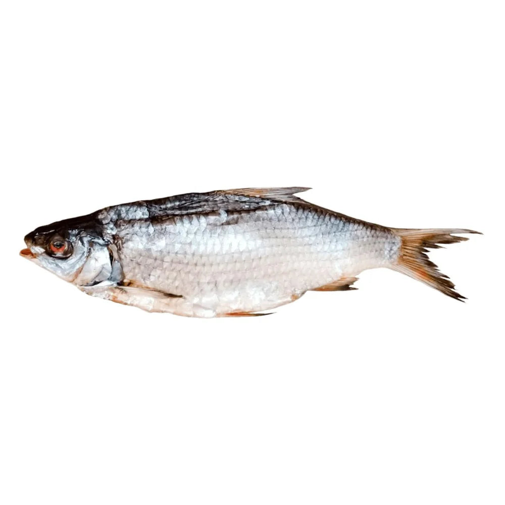 df77c1c7aed71b633aaf44ac7fa1f9fe Główne zdjęcie produktu