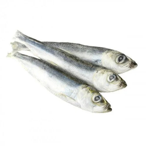 b12cce7c2bec967ae669d56dd9b4333c Główne zdjęcie produktu