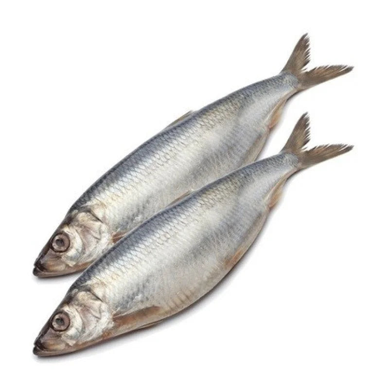 4748f871d8467ddd67ad9db4d8b7140e Główne zdjęcie produktu