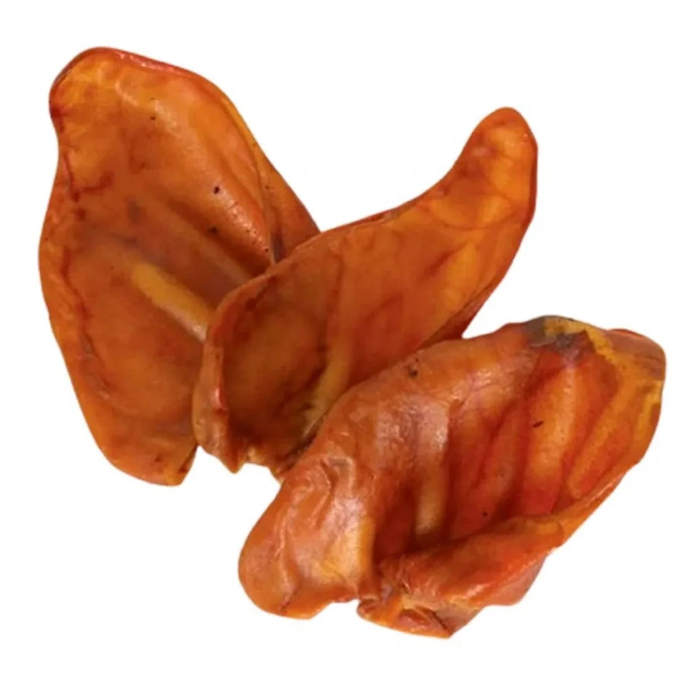 dd71e375b862a162a4fb6647a1e3dd52 Główne zdjęcie produktu